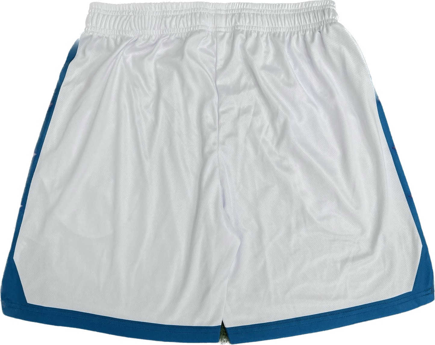 'Hornets All-Star' shorts