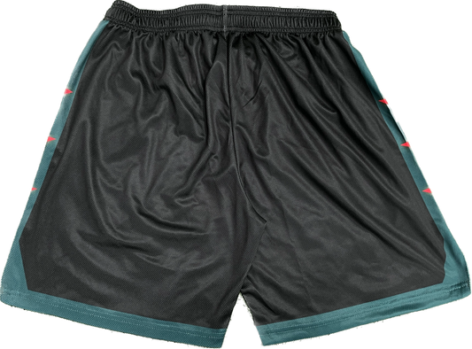 'Sonics All-Star' shorts